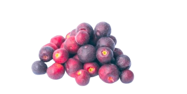 Sherbet Berries