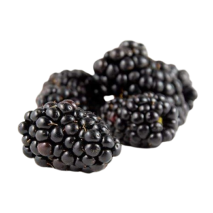Blackberries