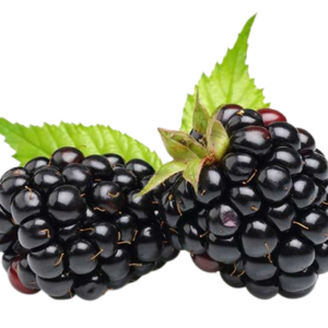 Blackberries