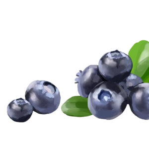 Blueberries
