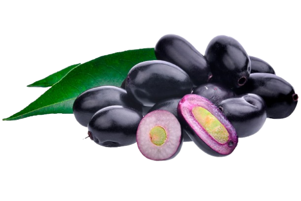 Jamun (Java Plum) - Image 2