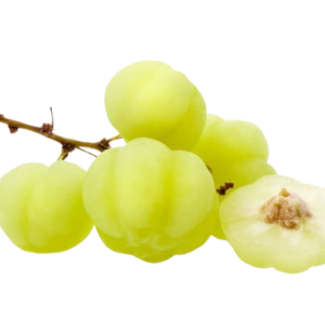 Star Gooseberry
