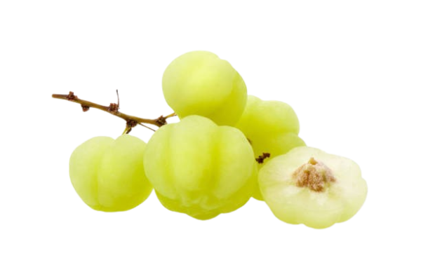 Star Gooseberry