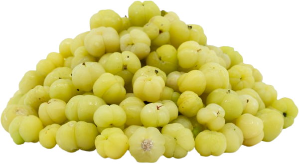Star Gooseberry - Image 3